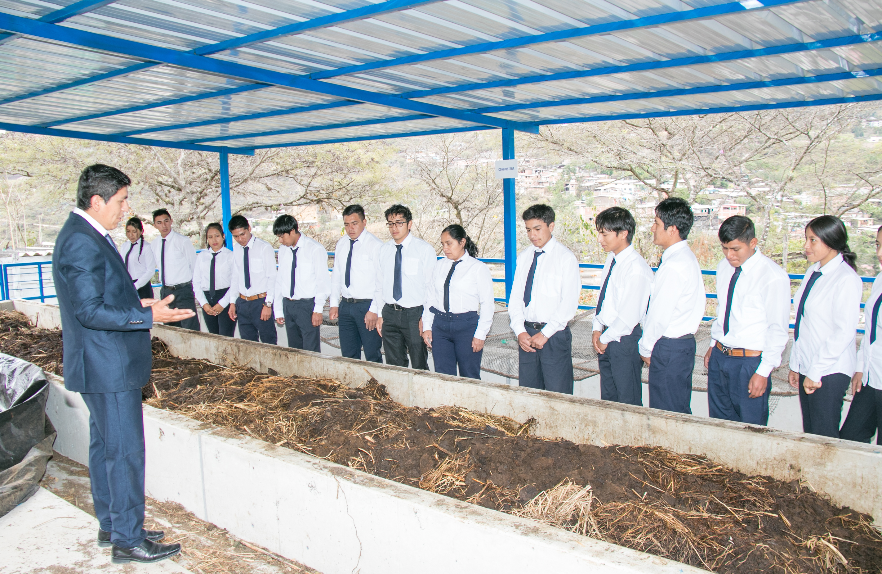 Producción Agropecuaria - Imagen 6