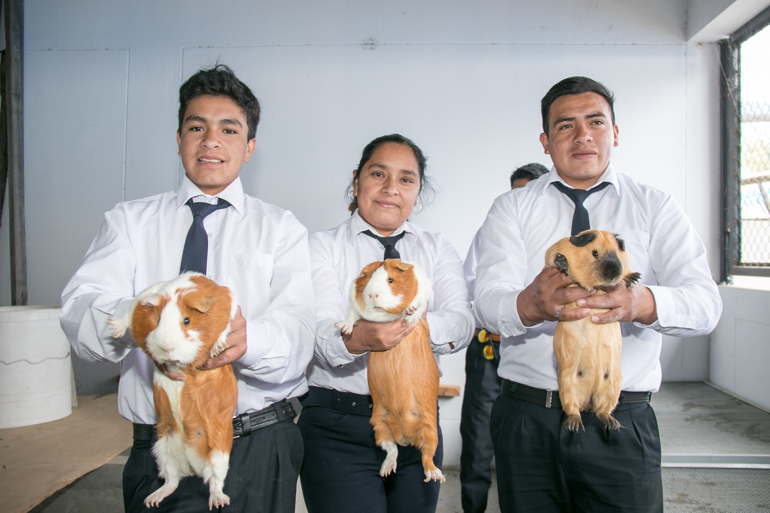 Producción Agropecuaria